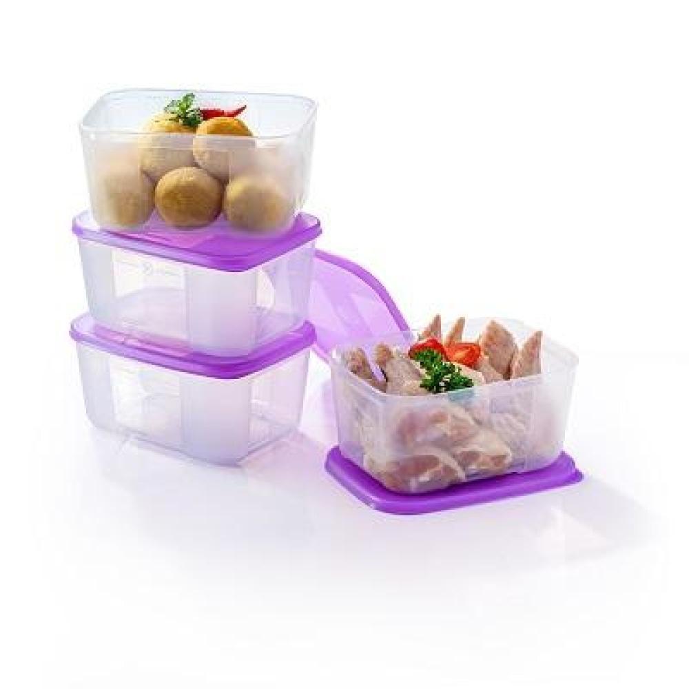 Tupperware Freezer Mate Container (650Ml), Set Of 2