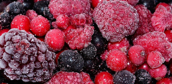 Keep food frozen and fresh for days