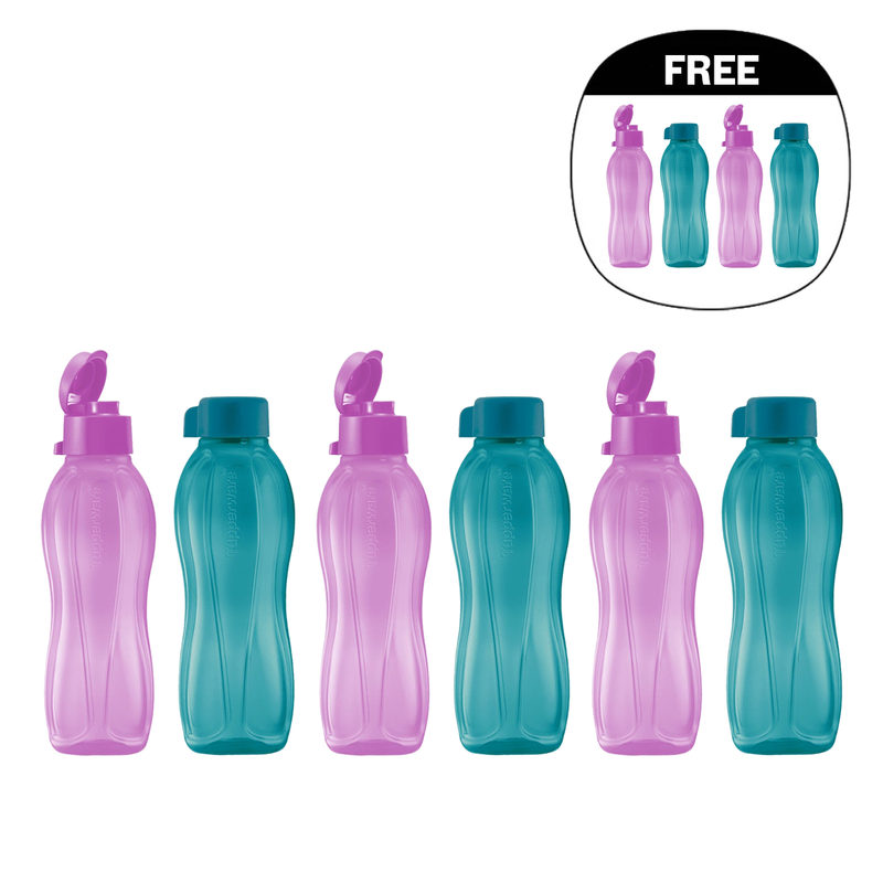 Eco Bottle (10) 500ml