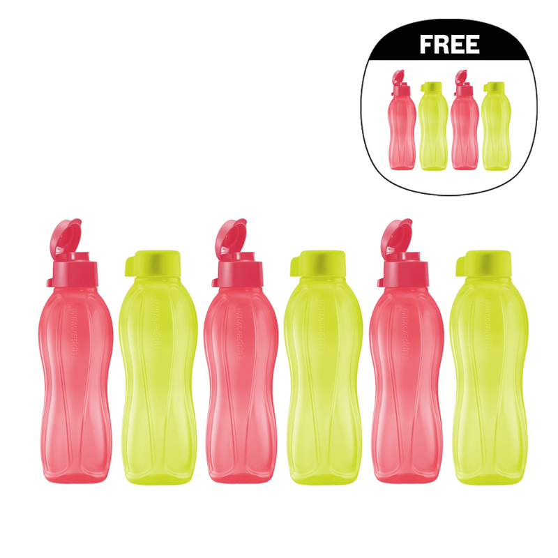 Eco Bottle (10) 500ml