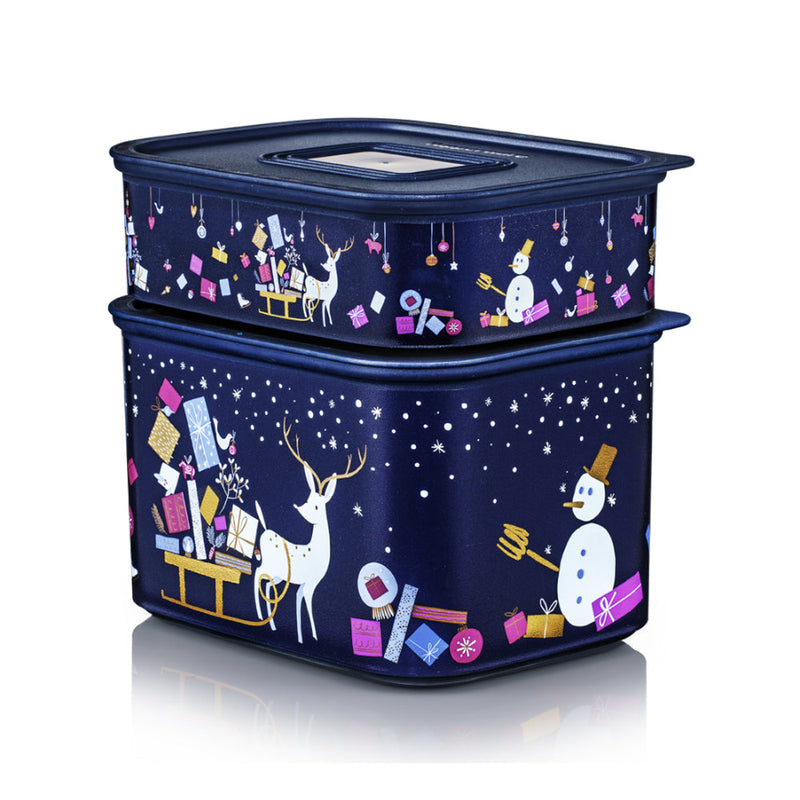 Winter Fantasy Set