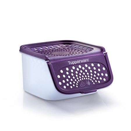 Garlic N All Keeper – Tupperware US